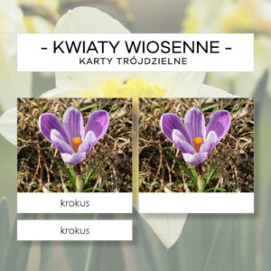 Kwiaty wiosenne - karty trójdzielne 20 szt.