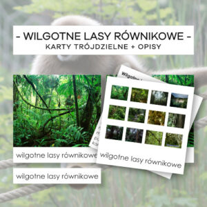 Biomy - wilgotne lasy równikowe - karty trójdzielne 37 szt. + opisy