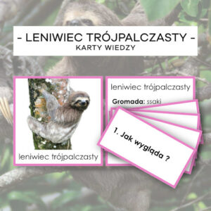 Leniwiec trójpalczasty - karty wiedzy