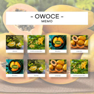 Owoce - memo 120 szt.