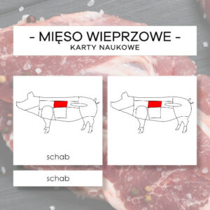 Mięso wieprzowe - karty naukowe 16 szt.