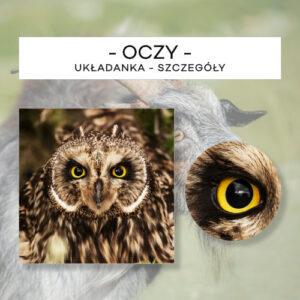 Oczy - układanka - szczegóły 15 szt.
