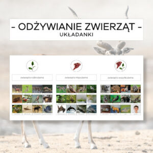 Odżywianie zwierząt - układanka