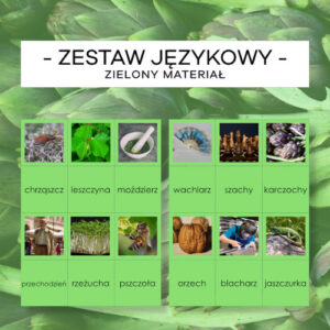 Zielony Materiał Językowy 5 - wyrazy trudne - zestaw pisany, mały i wielki druk