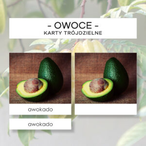 Owoce cz. II - karty trójdzielne 20 szt.