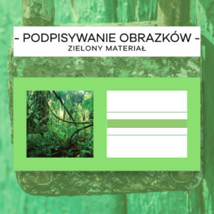 Zielony Materiał 1 - dz, dzi, dż, dź - Podpisywanie obrazków