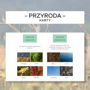 Przyroda ożywiona i nieożywiona - karty