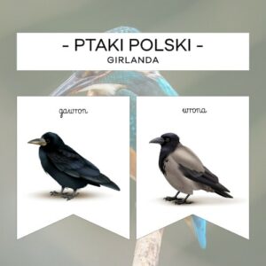 Ptaki Polski - girlanda z podpisem