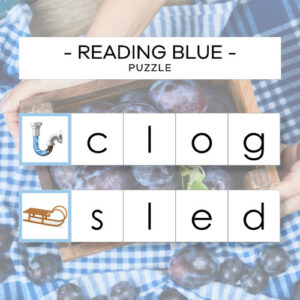 Reading - Blue Language Series 1 - puzzle
