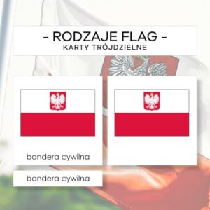 Rodzaje flag - karty trójdzielne 3 szt.