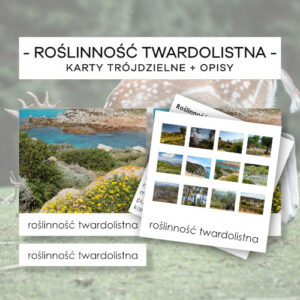 Biomy - roślinność twardolistna - karty trójdzielne 37 szt. + opisy