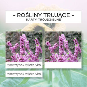 Rośliny trujące - karty trójdzielne 12 szt.