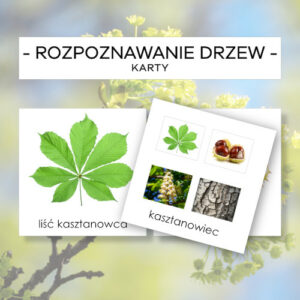 Rozpoznawanie drzew cz. 1