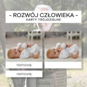 Rozwój człowieka - karty trójdzielne 9 szt.