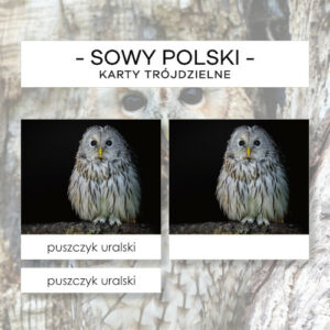 Sowy Polski - karty trójdzielne 10 szt.