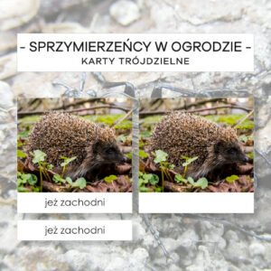 Sprzymierzeńcy w ogrodzie - karty trójdzielne 24 szt.