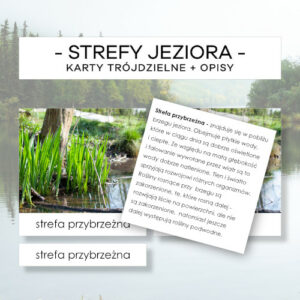 Strefy jeziora - karty trójdzielne 3 szt. + opisy