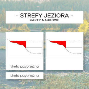 Strefy jeziora - karty naukowe 4 szt.