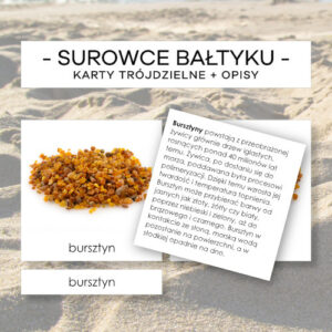 Surowce Bałtyku - karty trójdzielne 7 szt. + opisy