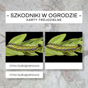 Szkodniki w ogrodzie - karty trójdzielne 24 szt.