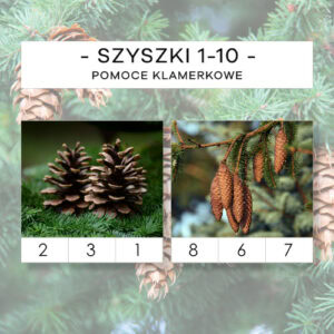 Szyszki 1-10 - pomoce klamerkowe