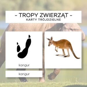 Tropy zwierząt cz. 2 - karty trójdzielne 32 szt.