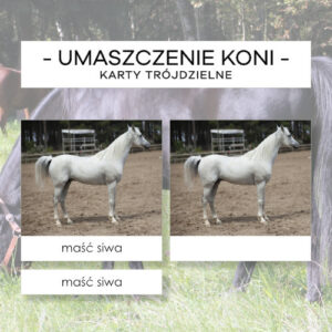 Umaszczenie koni - karty trójdzielne 18 szt.