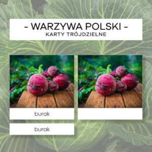Warzywa cz. I - karty trójdzielne 20 szt.