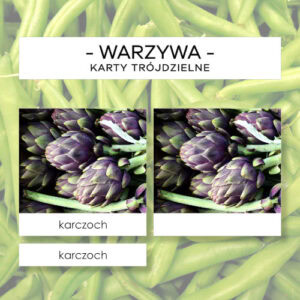 Warzywa cz. II - karty trójdzielne 20 szt.