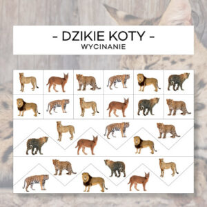 Dzikie koty - wycinanie