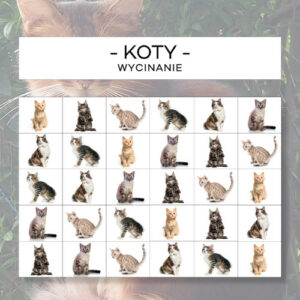 Koty - wycinanie