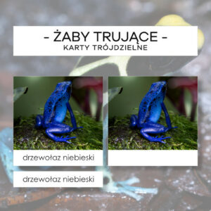 Żaby trujące - karty trójdzielne 8 szt.