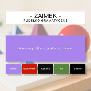 Zaimkowe pudełko gramatyczne - części mowy