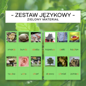 Zielony Materiał Językowy 3 - ch, cz, rz, sz, dz, dzi, dż, dź - zestaw pisany, mały i wielki druk