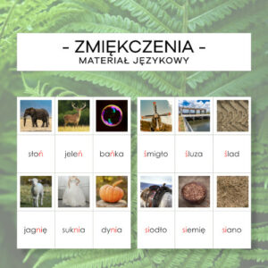 Zmiękczenia - Materiał Językowy - pisany, mały i wielki druk