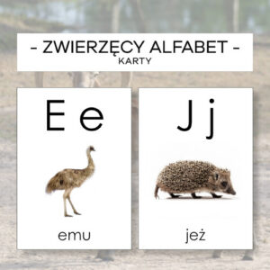 Alfabet zwierzęcy – plakaty, karty