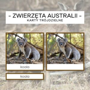 Zwierzęta Australii - karty trójdzielne 20 szt.