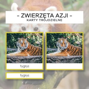 Zwierzęta Azji - karty trójdzielne 20 szt.