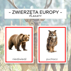 Zwierzęta Europy – plakaty A4