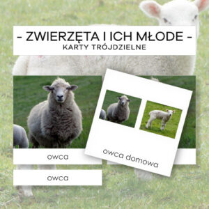 Zwierzęta i ich młode - karty trójdzielne 24 szt.
