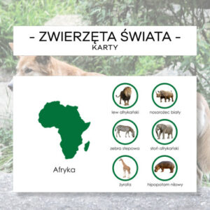 Zwierzęta świata 1 - karty + kółka do mapy