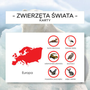 Zwierzęta świata 2 - karty + kółka do mapy
