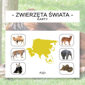 Zwierzęta świata - karty