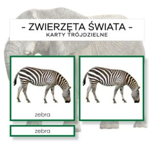 Zwierzęta Świata z białym tłem - karty trójdzielne 68 szt.