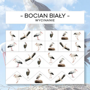 Bocian - wycinanie