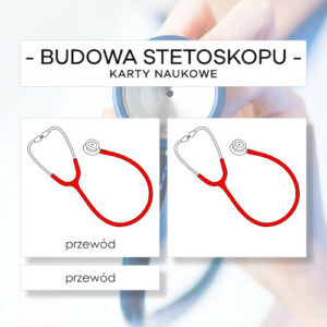 Budowa stetoskopu - karty naukowe 9 szt.