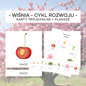 Wiśnia – cykl rozwoju – karty trójdzielne 6 szt. + plansze 2 szt.