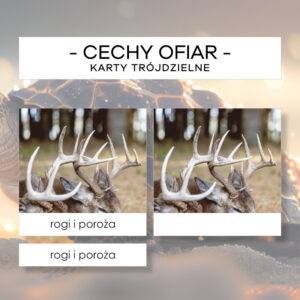 Cechy ofiar- karty trójdzielne 12 szt.