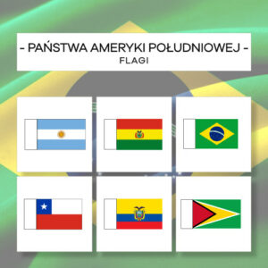 Flagi Państw Ameryki Południowej - do patyczków 13 szt.