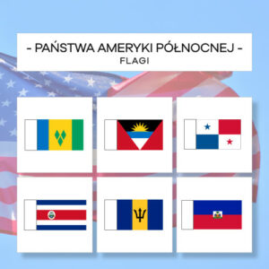 Flagi Państw Ameryki Północnej - do patyczków 22 szt.